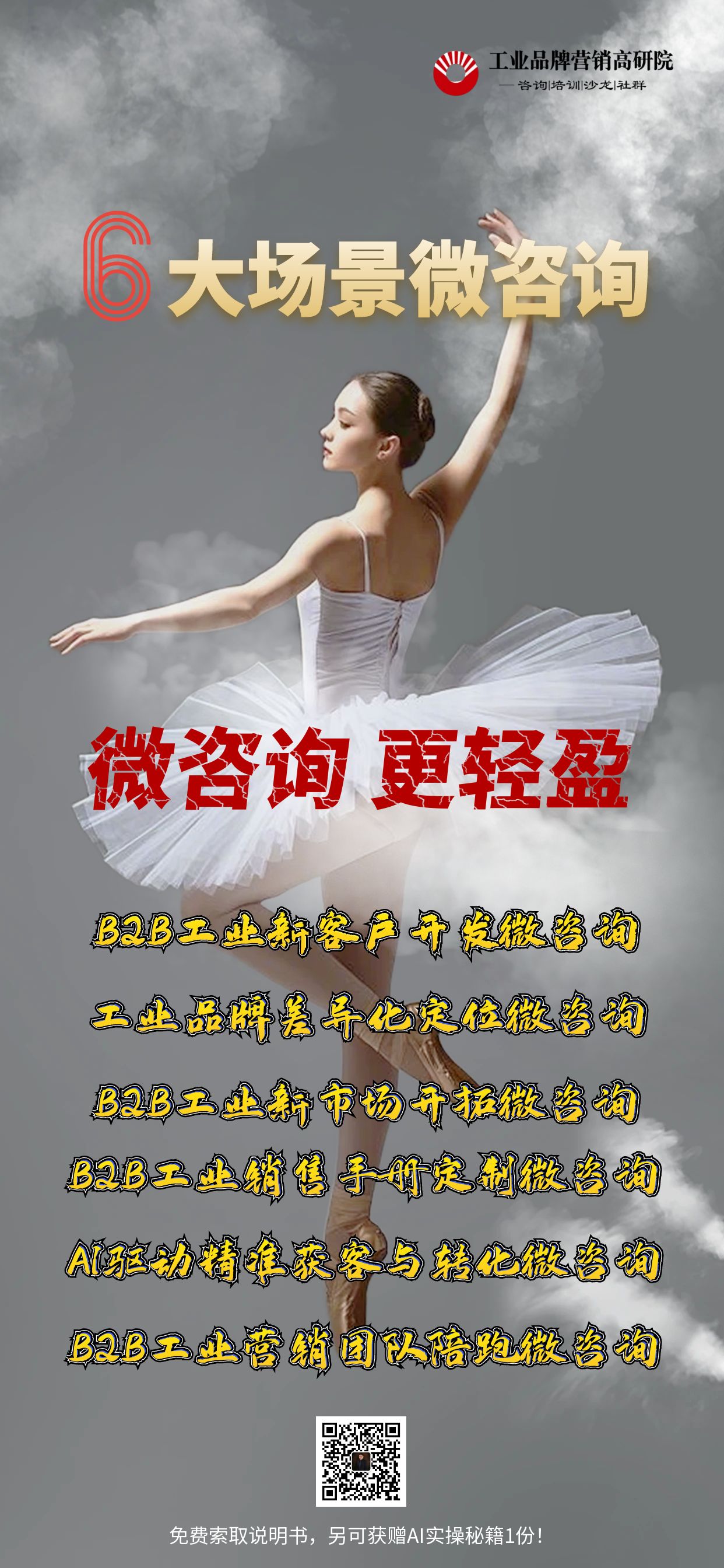《B2B工业新客户开发微咨询项目》说明书